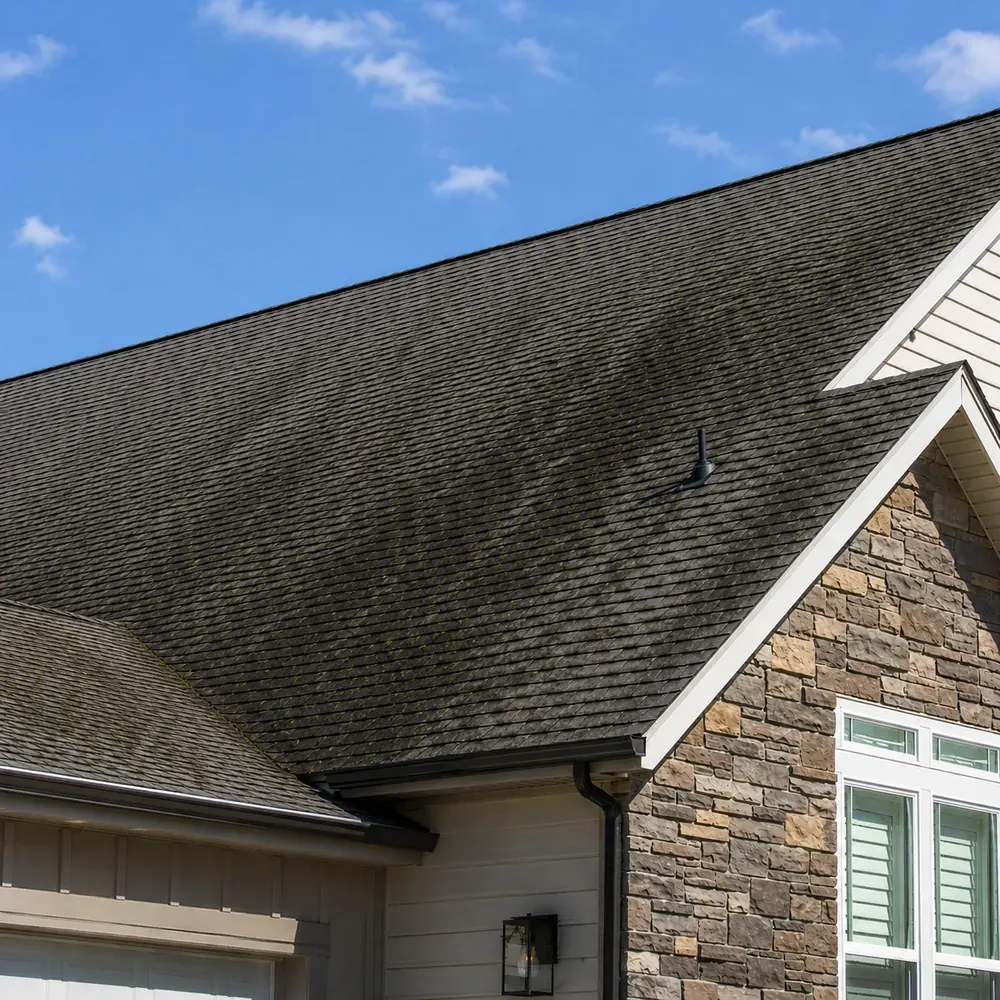 Before — Capital Region asphalt roof before and after a soft-wash roof cleaning