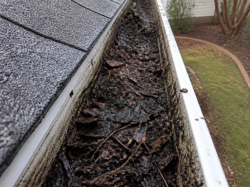 Gutter cleaning — before, gutter trough packed with wet leaves and debris