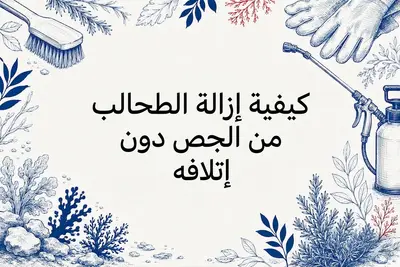 كيفية إزالة الطحالب من الجص دون إتلافه