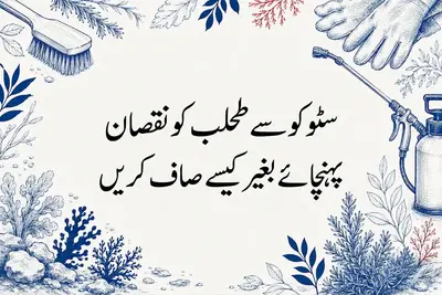 سٹوکو سے طحلب کو نقصان پہنچائے بغیر کیسے صاف کریں