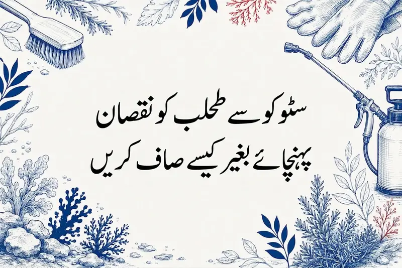 سٹوکو سے طحلب کو نقصان پہنچائے بغیر کیسے صاف کریں