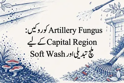 Artillery Fungus کو روکیں: Capital Region کے لیے ملچ تبدیلی اور Soft Wash