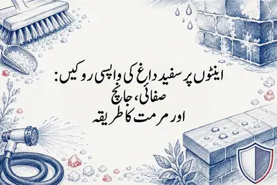 اینٹوں پر سفید داغ کی واپسی روکیں: صفائی، جانچ اور مرمت کا طریقہ