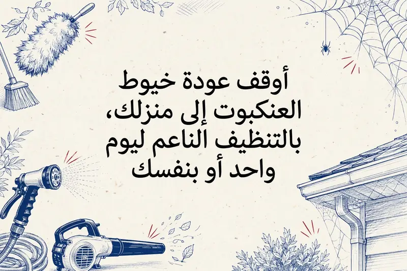 أوقف عودة خيوط العنكبوت إلى منزلك، بالتنظيف الناعم ليوم واحد أو بنفسك