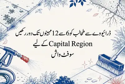 ڈرائیو وے سے طحالب کو 6 سے 12 مہینوں تک دور رکھیں، Capital Region کے لیے سوفٹ واش