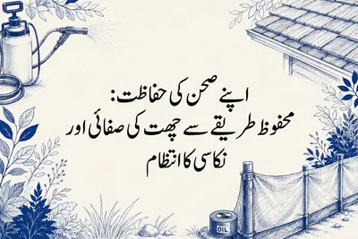 اپنے صحن کی حفاظت: محفوظ طریقے سے چھت کی صفائی اور نکاسی کا انتظام