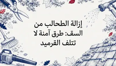 إزالة الطحالب من السقف: طرق آمنة لا تتلف القرميد