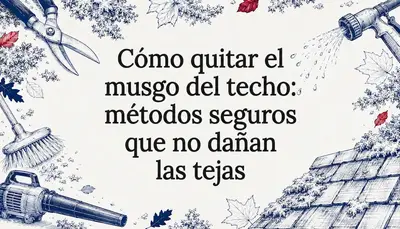 Cómo quitar el musgo del techo: métodos seguros que no dañan las tejas