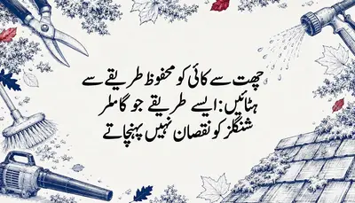 چھت سے کائی کو محفوظ طریقے سے ہٹائیں: ایسے طریقے جو شِنگلز کو نقصان نہیں پہنچاتے