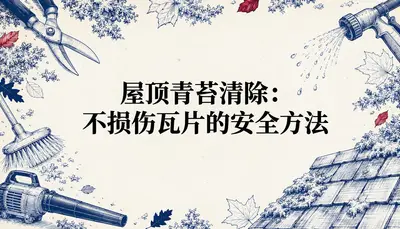屋顶青苔清除：不损伤瓦片的安全方法