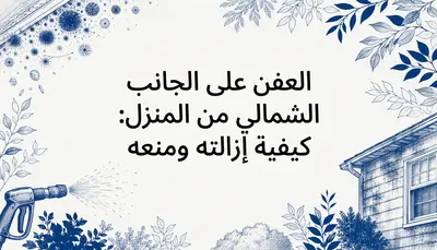 العفن على الجانب الشمالي من المنزل: كيفية إزالته ومنعه