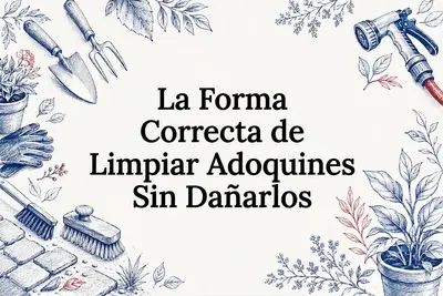 La Forma Correcta de Limpiar Adoquines Sin Dañarlos