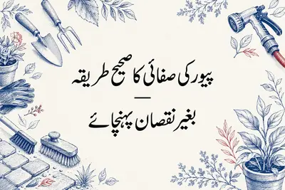 پیور کی صفائی کا صحیح طریقہ — بغیر نقصان پہنچائے