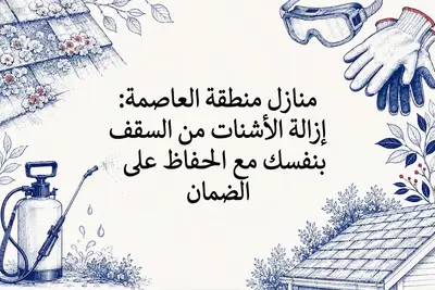 منازل منطقة العاصمة: إزالة الأشنات من السقف بنفسك مع الحفاظ على الضمان