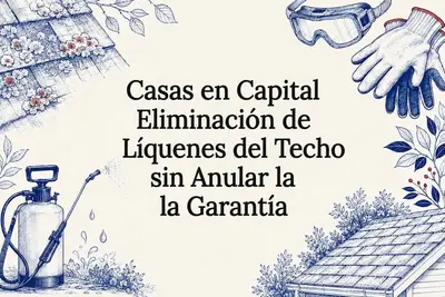 Casas en Capital Region: Eliminación de Líquenes del Techo sin Anular la Garantía