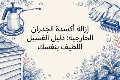 إزالة أكسدة الجدران الخارجية: دليل الغسيل اللطيف بنفسك