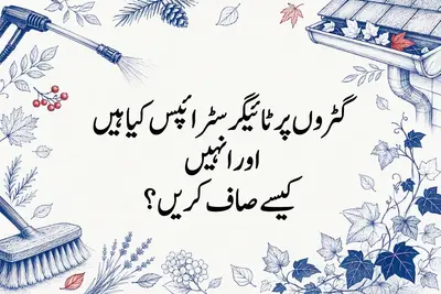 گٹروں پر ٹائیگر سٹرائپس کیا ہیں اور انہیں کیسے صاف کریں؟