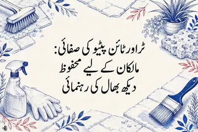 ٹراورٹائن پیٹیو کی صفائی: مالکان کے لیے محفوظ دیکھ بھال کی رہنمائی