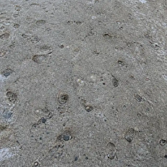 Concrete pitting damage — small round holes from freeze-thaw cycles